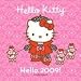 Hello Kitty 2009 Wall Calendar
