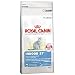 Royal Canin 55168 Indoor 10 kg- Katzenfutter