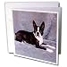 Dogs Boston Terrier - Boston Terrier - Greeting Cards-12 Greeting Cards with envelopes