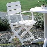 Kettler Venezia Resin Folding Arm Chair