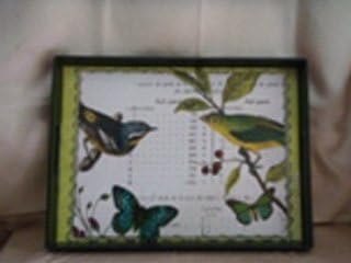 Notions by Jay Rectangle Tray, Notions Summer Pages Butterfly