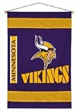 Minnesota Vikings Sideline Wall Hanging (29x45) NFL