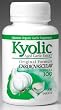 Wakunaga of America Company - Kyolic Formula 100, 600 mg, 300 capsules