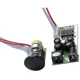 Dayton Audio DTA-2 Class T Digital Audio Amplifier Module