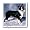 Border Collie - 8x8 Iron On Heat Transfer For White Material