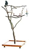 Manzanita Activity Tree 4ft small - Parrot Playstand
