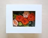 �v���U�[�u�h�t�����[�@Flower Frame �t�����[�E�t���[���z���C�g 2009