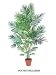 7' Tropical Decorative Artificial Areca Palm Tree