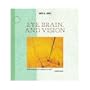 Eye, Brain, and Vision (Scientific American Library)