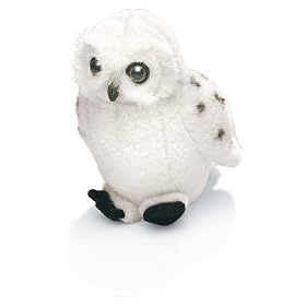 Snowy Owl 9