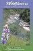 Wildflowers of Nevada and Placer Counties, California
