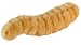 Giant Microbes - Maggot (Lucilia sericata) Educational Plush Toy