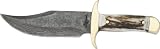 Fox-N-Hound Baby Bowie Fixed Blade Knife, 6in, Damascus Steel Bowie, Stag Handle FH604