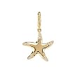 14K Yellow Gold Diamond Starfish Charm - 0.10 Ct.