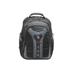 Swissgear 17 Pegasus Backpack