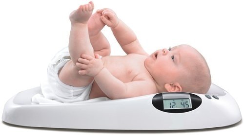 HOMEIMAGE Digital Scale for Infants and Pets   Weighs up to 44 Lbs. HI 01