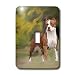 Dogs Pitbull - American Pit Bull Terrier - Light Switch Covers - single toggle switch