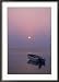 Boat in West End, Roatan, Bay Islands Framed Photographic Poster Print by Tom Stillo, 25x35