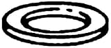 H.D. Hudson 151067  Compression Sprayer Pump Gasket