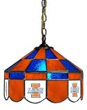 Illinois Fighting Illini 14 Executive Swag Hanging Lamp
