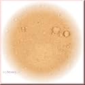 Sheer Mineral Foundation - Medium Light Neutral - Probe