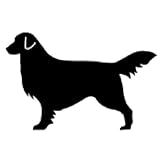 Golden Retriever Leash Hook (Approx. 9.5' x 6.5')