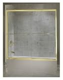 Slv Frameless Tub Door