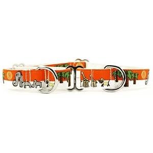 Designer Dog Collar - Save the Pack Dog Martingale Collar - Orange - Large - Made in USA