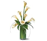 Teleflora's White Callas