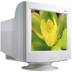 Hansol 920P 19" Monitor