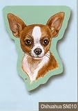 Chihuahua Sticky Notes Notebook