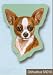 Chihuahua Sticky Notes Notebook
