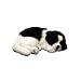 Perfect Petzzz Border Collie