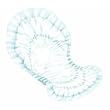 >Dry comfort heavy pad white. Dry ComfortTM Bladder Control Pads