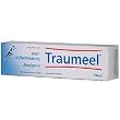 Traumeel Ointment - 100 g - Ointment