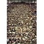 Andreas Gursky: Katalog zur Ausstellung im Haus der Kunst, M�nchen