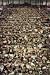 Andreas Gursky: Katalog zur Ausstellung im Haus der Kunst, M�nchen