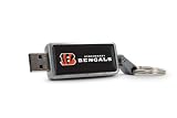 Centon Cincinnati Bengals Edition NFL DataStick Keychain V2 4 GB USB 2.0 Flash Drive