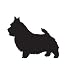 Terrier Dog Pet Norwich Terrier Car Truck Vehicle Bumper Helmet Decal Sticker Wall Art Laptop Design Skin Stickers
