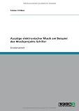 AuszÃ1/4ge elektronischer Musik am Beispiel des Musikprojekts Schiller (German Edition)