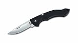 Buck Nano Bantam Knife