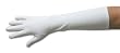 8-Button Diamond White, CottonLovers Matte Finish Gloves, cuff extends 8" above the wrist bone, below the elbow.