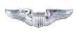 US Air Force U.S.A.F. Pilot Wing Insignia Pin Set