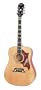 Epiphone Dove Acoustic Guitar, Natural