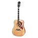 Epiphone Dove Acoustic Guitar, Natural