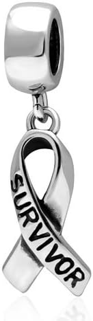 Hoobeads Breast Cancer Awareness Ribbon Charm 925 Sterling Silver Bead Fits Pandora Chamilia Biagi Troll Beads Europen Style Bracelets (SURVIVOR Charms)