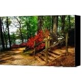 Triadelphia Canvas Print / Canvas Art - Artist Lois Bryan