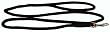 Hamilton 4' x 5/16" Round Braided Nylon Dog Lead, Black