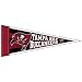 TAMPA BAY BUCCANEERS OFFICIAL LOGO PENNANT BUTTON BUMPER STICKER SET