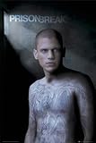 Prison Break - TV Show Poster (Size: 24'' x 36'')